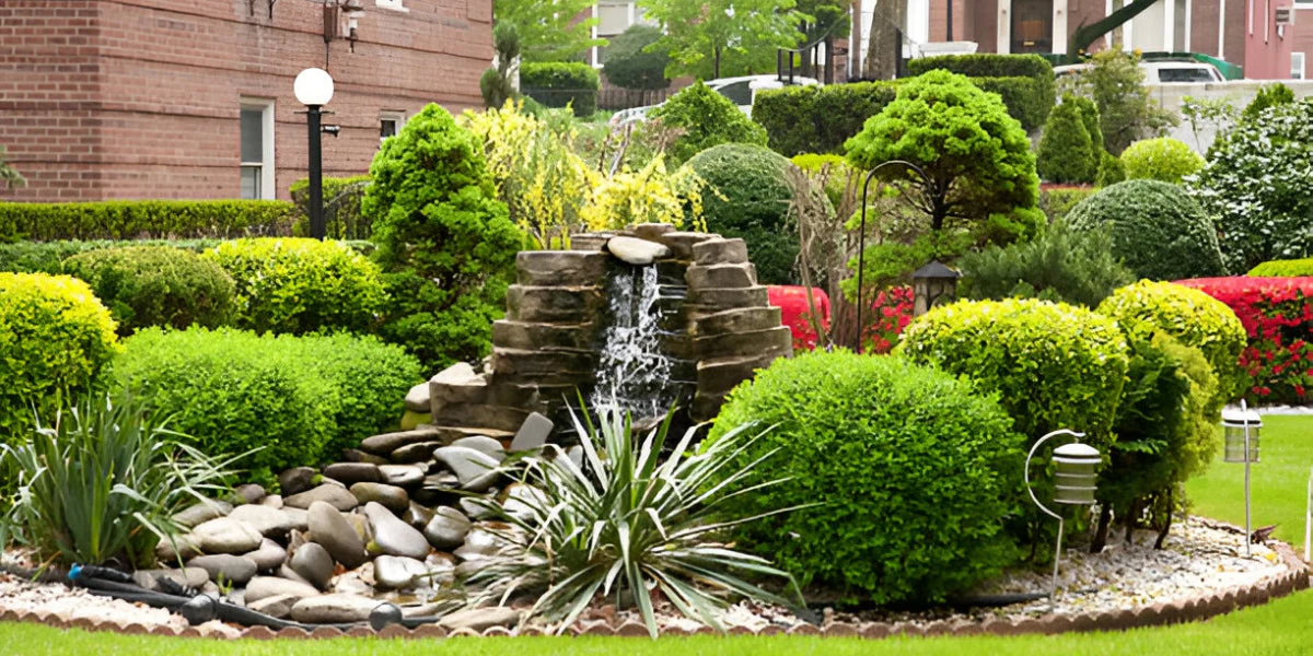 Essential Gardening Tips for a Thriving and Beautiful Outdoor Space in 2025